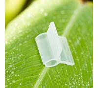 100 clip per piante in plastica trasparente per innesto, supporto per vite e fissaggio di steli nella produzione di ortaggi e uso orticolo (4 mm)