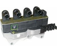 100 CV Bobina d'accensione per FIAT Palio Weekend 178, 173, 373, 374, 171 1.6 16