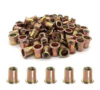 100 dadi per rivetti, 5/16"-18 in acciaio al carbonio UNC kit di assortimento di dadi per rivetti a testa piatta con inserti filettati assortiti (5/16"-18