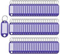 100 etichette portachiavi in plastica per portachiavi, identificativi, bagagli, nome, portachiavi con divisione, etichette portachiavi (viola)