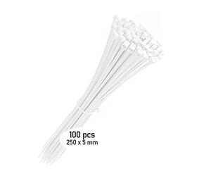 100 Fascette Universali Plastica Per Cablaggio Elettricista Bianche - 5x250mm - Fascette Stringicavo standard, Fermacavo Autobloccanti Resistenti Per Installare Reti, cavi ordinati