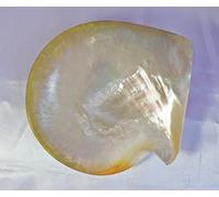 100 Favorite Bluegrass & Country Gospel Songs