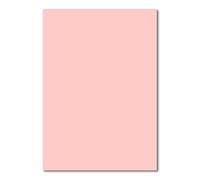 100 Fogli di carta DIN A4 fogli plano - rosa - 240 g/m² - 21 x 29,7 cm - foglio per bricolage carta creta cartone fotografico carta per bricolage cartone creta - FarbenFroh