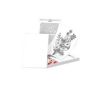 100 Fogli per Stampante Phomemo A4 Carta Termica M08F Carta Termica Continua Ad Asciugatura Rapida Documenti Note di Studio