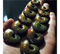 100 g 6 pezzi di spirale colorata, pietra preziosa arcobaleno decorazione della stanza