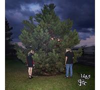 100 Gecs - 1000 Gecs