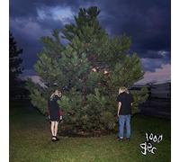 100 Gecs - 1000 Gecs