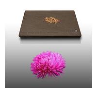 100 grain di Fleurs à semer - Le Grenier d'Abondance - REINE MARGUERITE Plume d'Autruche - Callistephus chinensis