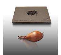 100 graines à semer - Le Grenier d'Abondance - OIGNON ro echalion cuisse de poulet - Allium ceppo