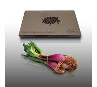 100 graines à semer - Le Grenier d'Abondance - OIGNON Rouge de Florence - Allium ceppo