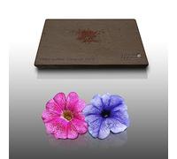 100 graini di Fleurs à semer - Le Grenier d'Abondance - PETUNIA - Petunia