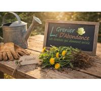 100 Grines à semer - Le Grenier d'Abondance - PISSENLIT - Taraxacum