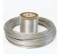 100 m di Lunghezza Filo Acciaio Inossidabile Molla Duro 0.2/0.3/0.4/0.5/0.6/0.8 Stringa Fascetta In for Fai Da Te Fatti A Mano Strumento Casa(0.1mm)