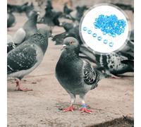 100 Pcs Anelli Per Zampe Di Colomba Piede Piccione Le Gambe Degli Uccelli