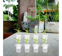 100 Pcs Cestino Di Plastica Per Piantare Pentole Vivaio Mesh Fioriera