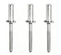 100 PCS Stainless Steel Blind Rivets, 6mm Closed End Pop Rivets with Dome Head for Metal, Furniture, Car, Ships, Motor Vehicles, Mechanical(6x16mm)