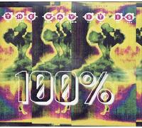 100 Percent - The Way It Is/the Way It Is