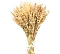 100 Pezzi 40cm spighe di grano decorative Casa Fascio Da Vere Naturali fiori di grano secco erba mazzo fascio di fiori artificiali secchi puleggia per camino, casa, chiesa, tavolo matrimonio