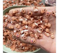 100 pezzi/60 pezzi Ciondoli in resina di capibara che brillano al buio, mini figure 3D di cavy roditore trasparente come il ghiaccio, decorazioni per unghie di animali kawaii, decorazioni da scrivania