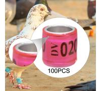 100 pezzi anelli per zampe di piccione pratici 2026 per piccoli pollame,