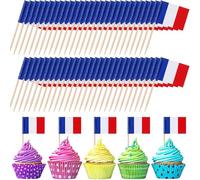 100 Pezzi Bandierine Stuzzicadenti Francia, Mini Bandiere Francesi Decorazioni per Cupcake, Cocktail, Panini e Buffet, Ideali per Feste a Tema, Eventi Sportivi e Aperitivi