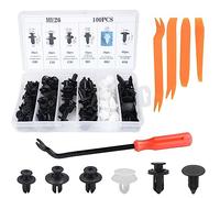 100 Pezzi Clip di Fissaggio Universali per Auto, Kit di Fissaggio in Plastica, 6 Tipi Rivetti in Plastica per Portiere, Auto Kit di Smistamento, con 5 Pezzi Strumento di Rimozione Smontaggio