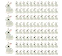100 Pezzi di Coniglio Luminoso Mini Resina Luminoso di Pasqua, Bagliore nel Coniglio Scuro per la casa delle Bambole Micro Fata Decorazioni da giardina