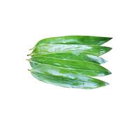 100 Pezzi di Foglie di Bambù Selvatico, Foglie di Bambù Naturali Fresche Sottovuoto, Utilizzate per Barbecue, Sashimi Sushi, , Decorazione da Cucinando, Confezioni Zong zi