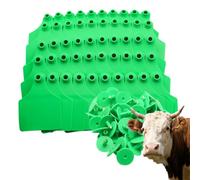 100 pezzi di marchi auricolari per bovini di grandi dimensioni I marchi auricolari vuoti in PE sono adatti per la gestione del bestiame bovino freddo e adulto (giallo, rosso, blu, verde, verde 100pcs