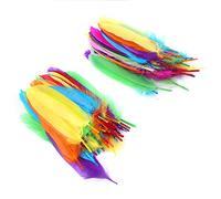 100 Pezzi di Piume Colorate Piume Arcobaleno Materiale Fai da Te Artigianato Forniture d'Arte per Decorazioni Artigianali Fatte a Mano per Feste a Casa