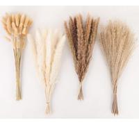 100 Pezzi Erba di Pampa Essiccata Erba di Pampa con Coda di Coniglio Bianca Fiori Secchi Fiori Artificiali Decorazione da Tavolo Boho, per Matrimoni, Camino, Casa, Cucina, Chiesa, Tavolo