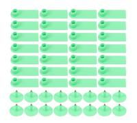 100 Pezzi Etichette Auricolari in Plastica Verde Chiaro | Design Monopezzo Foro Piccolo e Stelo, Identificazione Resistente alle Intemperie, per Pascolo
