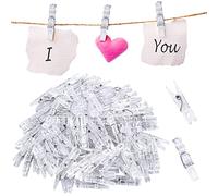 100 Pezzi Mini Mollette Trasparenti in Plastica 3,4 cm Mollette da Appendere Decorazione per Appendere Foto Card Paper Arts & Crafts Picture Scrapbooking