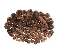 100 Pezzi Pigne di Natale, Pigne Naturali Pigne Decorative Natalizie per la Decorazione Domestica Artigianato Fai da Te Albero di Natale Decorazione Autunno Inverno, Grande Medio Mini Misto