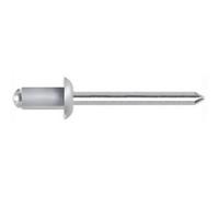 100 Pezzi Rivetti a strappo in alluminio mandrino acciaio zincato Diametro 4 mm