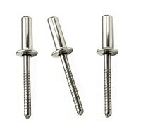 100 Pezzi Rivetti Ciechi Acciaio Inossidabile 316, 3mm Rivetti Pop con Estremità Chiusa a Testa Tonda per Barche Marine, Riparazioni Auto, Lamiera(3x10mm)