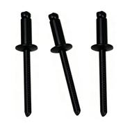 100 Pezzi Rivetti Ciechi Acciaio Inossidabile, Nera 3mm Rivetti Pop con Estremità Aperta a Testa Tonda per Barche Marine, Riparazioni Auto, Lamiera(3x8mm)