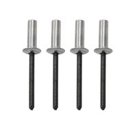 100 Pezzi Rivetti Ciechi Impermeabili, Rivetti Ciechi Sigillanti in Alluminio con Testa a Cupola 3mm, Rivetti a Testa Piatta per Canali di Drenaggio, Tetti Sottili in Metallo, Docce(3X10mm)