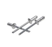 100 Pezzi Rivetti Ciechi, Rivetti Pop Testa Tonda 2,4mm 3mm 3,2mm, Rivetti Nucleo Ferro Cappuccio Alluminio per Lamiere Mobili Metallo(3.2X6mm)