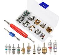 100 Pezzi Set Nucleo Valvole Aria Condizionata con 2 Strumenti Smontaggio Testa Doppia, 1 Scatola Portaoggetti, R134AV A/C alvola Pneumatici per Auto, Camion, Bici, Moto, Sostituzione e Manutenzione