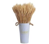 100 pezzi Spighe di grano essiccate naturali di grano essiccato, per accessori bouquet, decorazioni per la casa o per feste 40 cm,Colore Primario