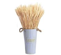 100 pezzi Spighe di grano essiccate naturali di grano essiccato, per accessori bouquet, decorazioni per la casa o per feste 40 cm,Bianco
