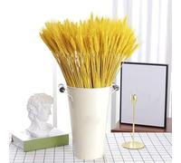100 pezzi Spighe di grano essiccate naturali di grano essiccato, per accessori bouquet, decorazioni per la casa o per feste 40 cm, giallo dorato