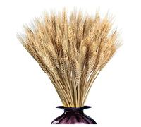 100 Pezzi Spighe di Grano Essiccate, Spighe di Grano Decorative, Naturali Essiccato, per Matrimoni, Camino, Casa, Cucina, Chiesa, Tavolo, 40 cm, Colore Primario