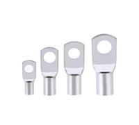 100 pezzi Terminale a becco di filo SC6 SC8 SC10 SC16 SC25 Capicorda for cavi di blocco batteria in rame nudo Foro 6 mm 8 mm 10 mm(SC10-8)