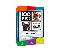100 PICS Gioco di Carte Flash con Cani, Gioco da Viaggio in Famiglia, Puzzle Tascabile per Bambini e Adulti
