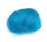 100 piume colorate per fai da te,piume d'oca naturali,piume d'oca indiane,per lavori artistici,maschere,cappelli,orecchini,gioielli per capelli,acchiappasogni,matrimoni,carnevale,feste,5-8 cm,lago blu
