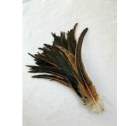 100 piume di coda di gallo verde nerastro 25-45 cm piume naturali beige fai da te accessori per abbigliamento e gioielli per feste - marrone naturale - 30-35 cm