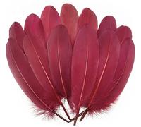 100 piume d'oca bordeaux da 15 a 20 cm, per cosplay, abbigliamento, accessori per acchiappasogni, decorazioni per feste di nozze