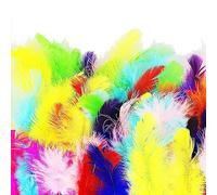 100 piume d'oca colorate, piume per artigianato, piume sorprendenti, per decorazioni fai da te, cappelli, costumi
